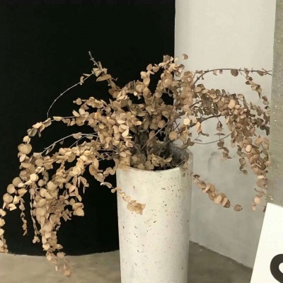 叠彩FurryQQ群介绍